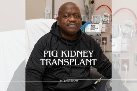 Pig Kidney Transplant