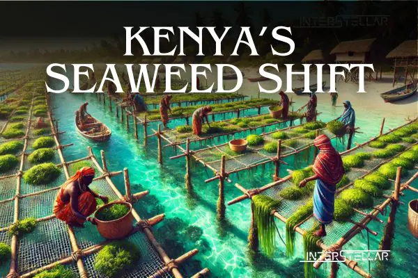 Seaweed Farming
